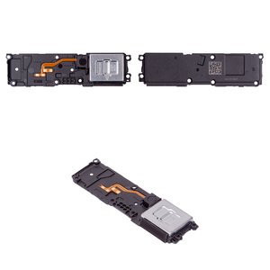 Timbre puede usarse con Realme 12 Pro, 12 Pro Plus, en marco